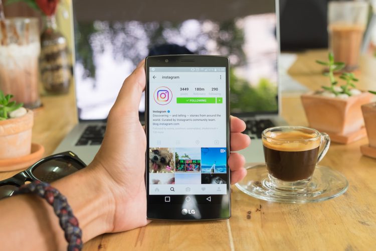 feed instagram